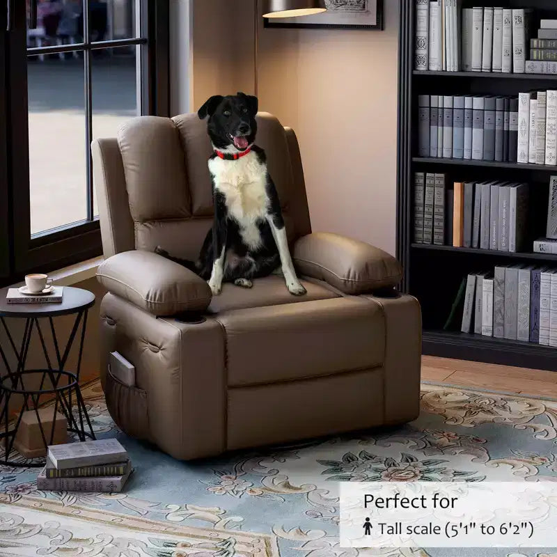 Fauteuil inclinable manuel pour adultes, canapé simple en cuir PU