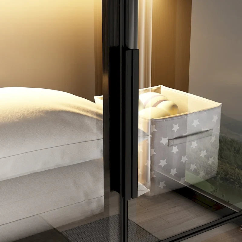 Elegant Black Wardrobe with LED Lighting and Tempered Glass Doors